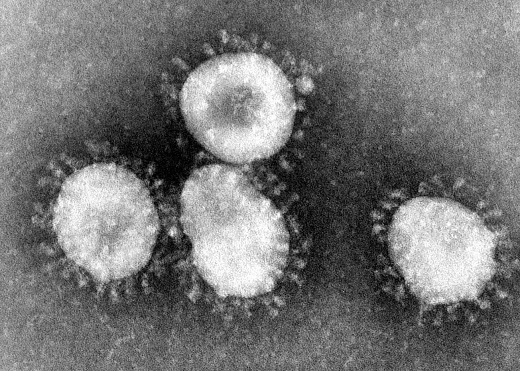lęk przed wirusem - na zdjęciu koronawirus